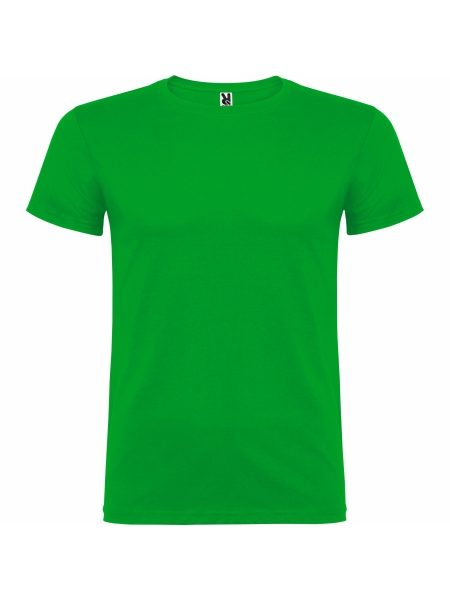 t-shirt-beagle-colorata-verde prato.jpg